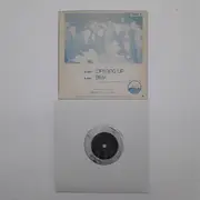 7inch Vinyl Single - The Circles - Opening Up
