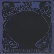 7inch Vinyl Single - The Cloud Room - Waterfall
