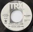 7inch Vinyl Single - The Crystal Junkyard - Mary's Little Lamb / Fire On My Street