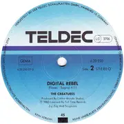 12inch Vinyl Single - The Creatures - Believe In Yourself
