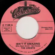 The Crests - Isn't It Amazing / Molly Mae