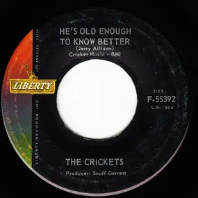 The Crickets - He's Old Enough To Know Better