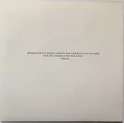 7inch Vinyl Single - The Crow Flies - Bullworker