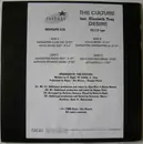 12inch Vinyl Single - The Culture Featuring Elisabeth Troy - Desire