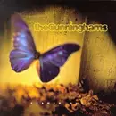 CD - The Cunninghams - Zeroed Out