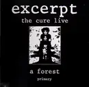 12'' - The Cure - Excerpt - Live