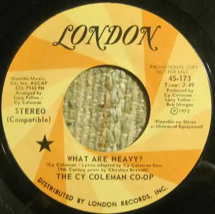 The Cy Coleman Co-op - What Are Heavy?