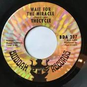 The Cycle - Wait For The Miracle