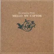 The Amazing Pilots - Hello My Captor