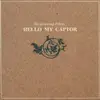 CD - The Amazing Pilots - Hello My Captor