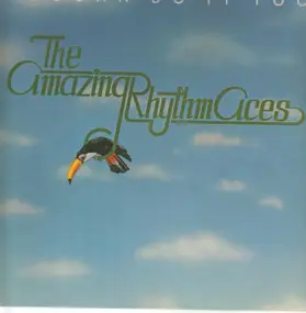 The Amazing Rhythm Aces - Toucan Do It Too