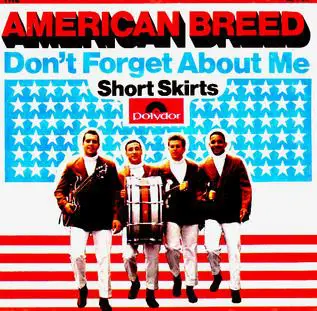 The American Breed - Don't Forget About Me