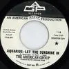 7inch Vinyl Single - The American Group - Aquarius - Let The Sunshine In / Stay Off The Grass