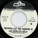 7inch Vinyl Single - The American Group - Aquarius - Let The Sunshine In / Stay Off The Grass