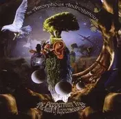 Amorphous Androgynous - The Peppermint Tree & Seeds