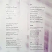 Double LP - The Antlers - Familiars