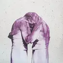 Double LP - The Antlers - Familiars