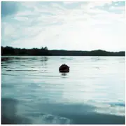 7inch Vinyl Single - The Analog Roland Orchestra - Grown - Grey Blue Marbled Vinyl