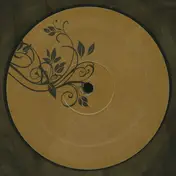 The Analog Roland Orchestra - HOME VERSIONS