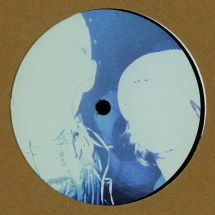 The Analog Roland Orchestra - 303 And Chill