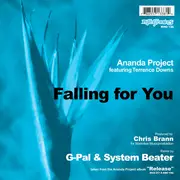 12inch Vinyl Single - Ananda Project Feat. Terrance Downs - Falling For You