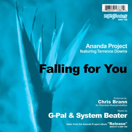 Ananda Project Feat. Terrance Downs - Falling For You