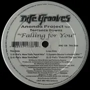 12inch Vinyl Single - Ananda Project Feat. Terrance Downs - Falling For You