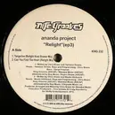 12inch Vinyl Single - The Ananda Project - Relight (EP 3)
