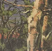 CD - The Anomoanon - Asleep Many Years In The Wood