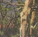 CD - The Anomoanon - Asleep Many Years In The Wood