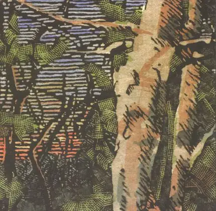 The Anomoanon - Asleep Many Years in the Wood