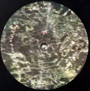 LP - The Anomoanon - Summer Never Ends