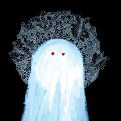 The Accidental - There Were Wolves