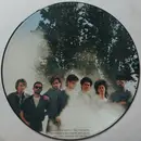 Picture Disc - The Adventures - Another Silent Day... (Extended Re-Mix)