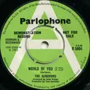 7inch Vinyl Single - The Aerovons - World Of You - promo