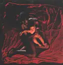 Double LP & MP3 - The Afghan Whigs - Congregation - Red Transparent,  180gram, Ltd Ed