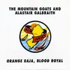 7'' - The Mountain Goats & Alastair Galbraith - Orange Raja, Blood Royal