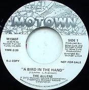 The Allens - A Bird In The Hand