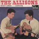 7inch Vinyl Single - The Allisons - What A Mess