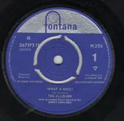 7inch Vinyl Single - The Allisons - What A Mess