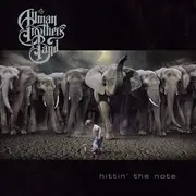 Double LP - The Allman Brothers Band - Hittin' The Note
