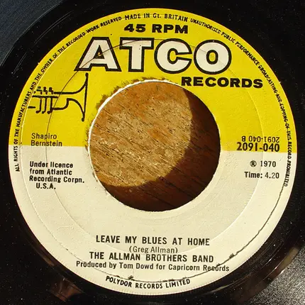 The Allman Brothers Band - Revival (Love Is Everywhere)