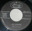 7inch Vinyl Single - The Apollos - Just Dreaming