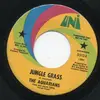 7inch Vinyl Single - The Aquarians - Jungle Grass / Adela