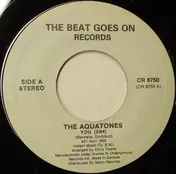The Aquatones - You / Torture