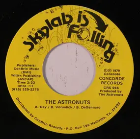 The Astronuts - Skylab Is Falling / Skylab Has Fallen