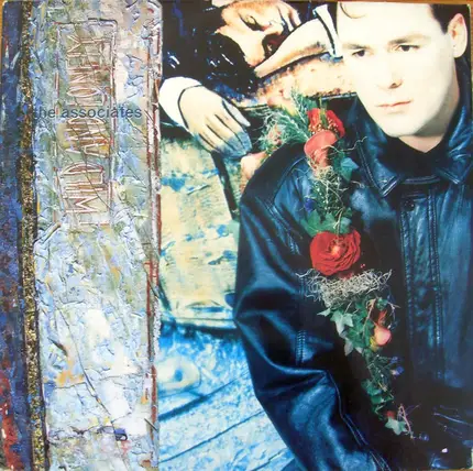 The Associates - Wild And Lonely