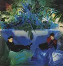 LP - The Associates - Sulk