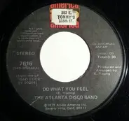 The Atlanta Disco Band - Do What You Feel