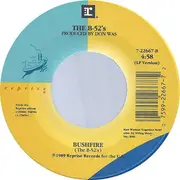 7inch Vinyl Single - The B-52's - Roam